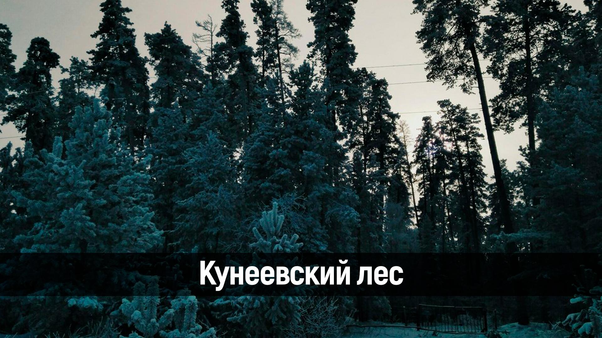 Кунеевский лес (kuneevskij-les) Досуг, хобби