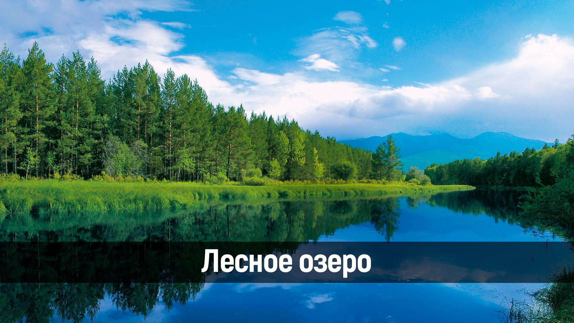 Лесное озеро (lesnoe-ozero) Досуг, хобби