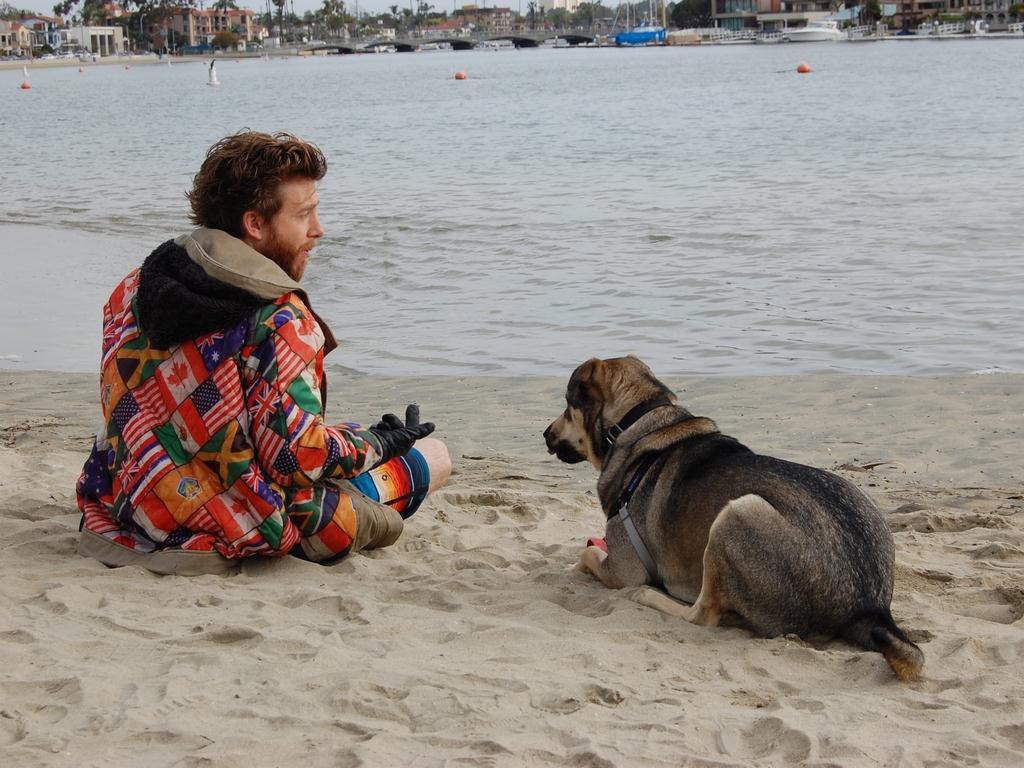 Rescue Dogs (rescue-dogs) Фильм 2016