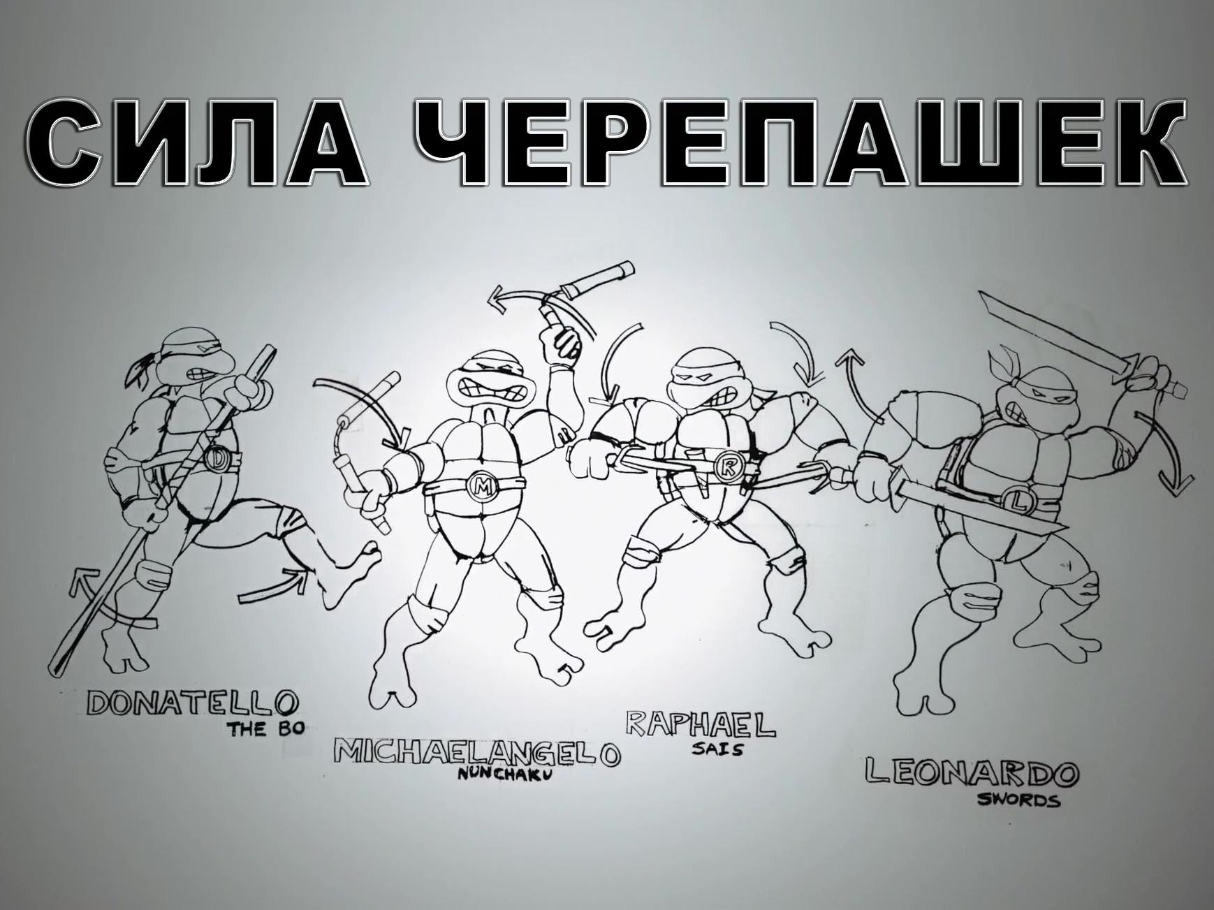 Сила черепашек (sila-cherepashek) Документальный фильм