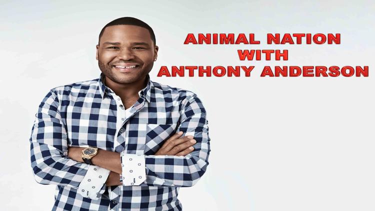 Постер Animal Nation with Anthony Anderson