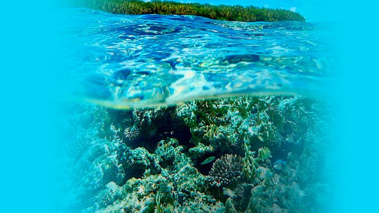 Постер Chuuk : au coeur des vestiges de l'histoire