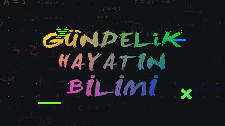 Постер Gündelik Hayatın Bilimi