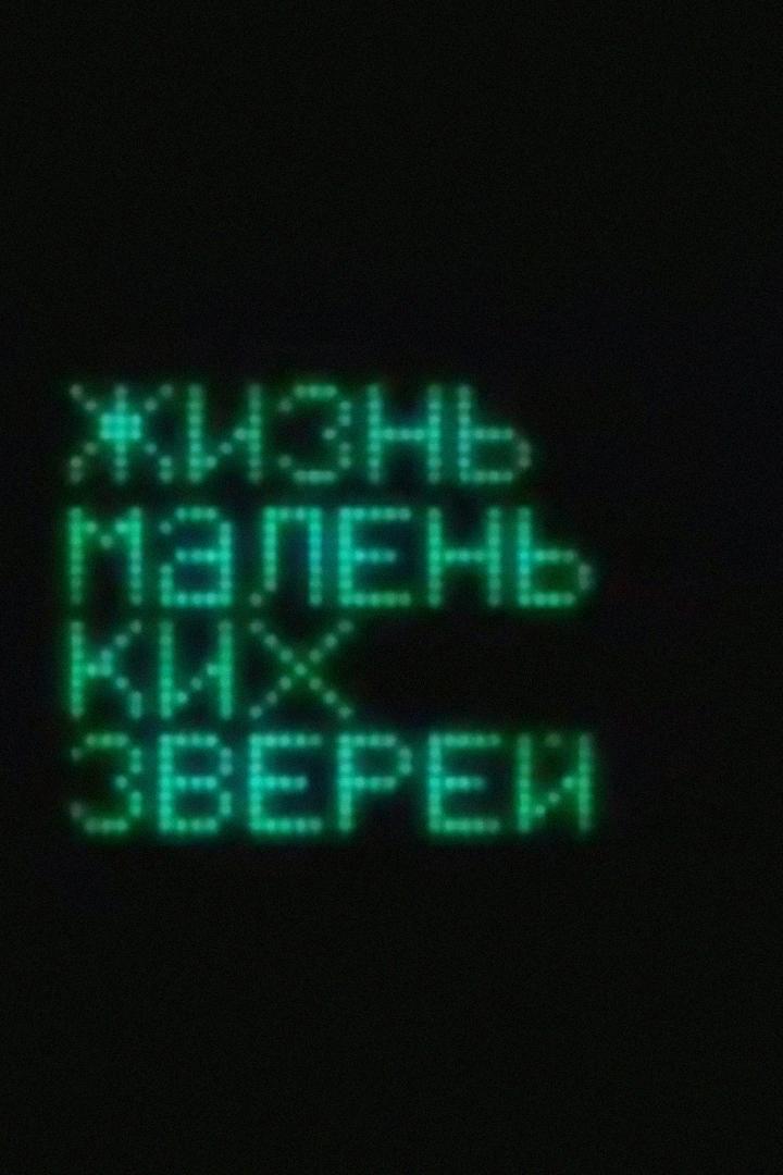 Жизнь маленьких зверей (zhizn-malenkih-zverej) Мультфильм 2008