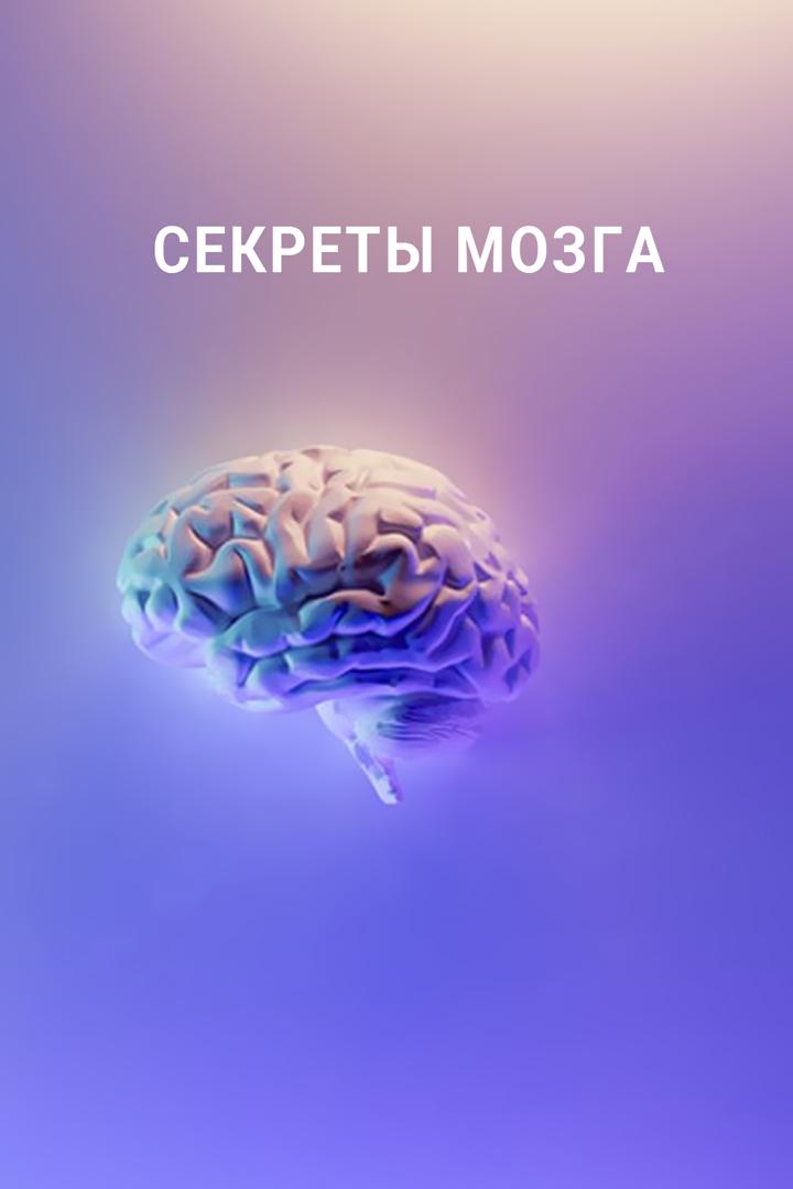 Секреты мозга (sekrety-mozga) Познавательное