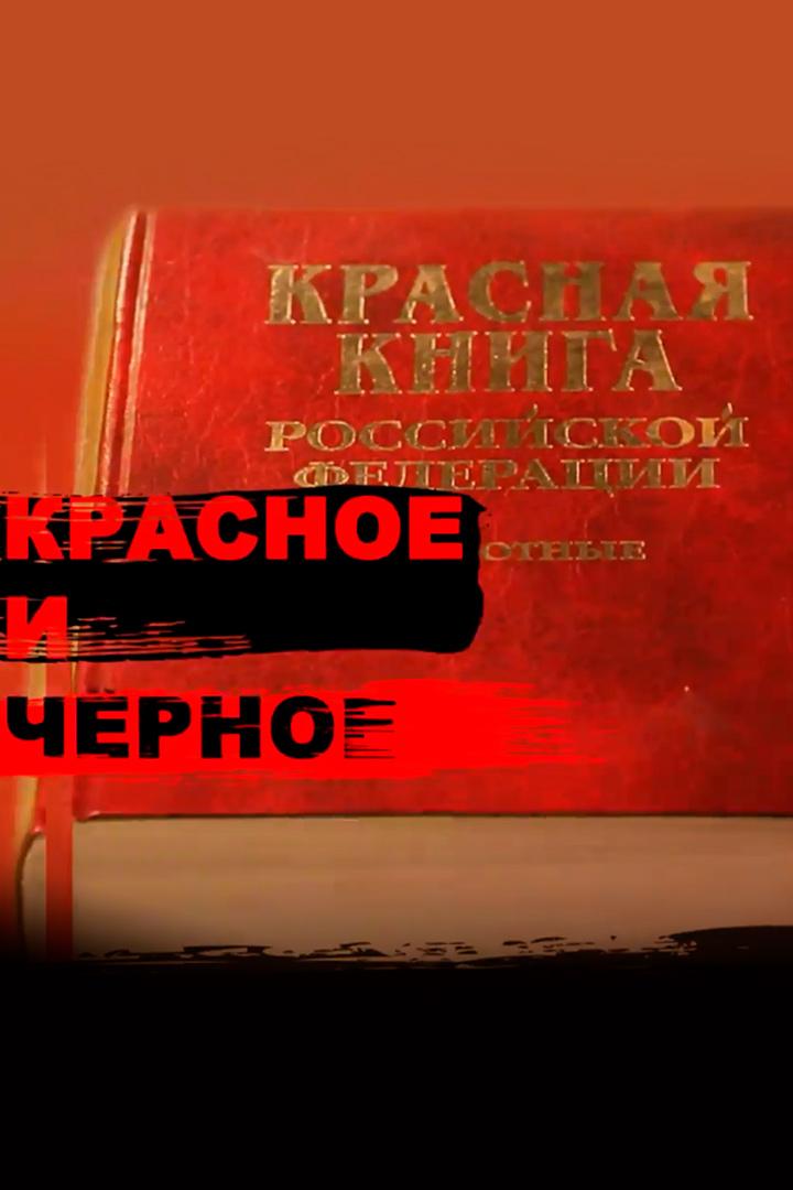 Красное и черное (krasnoe-i-chernoe) Документальный фильм