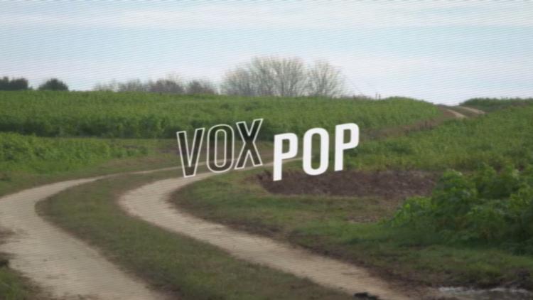 Постер Vox Pop