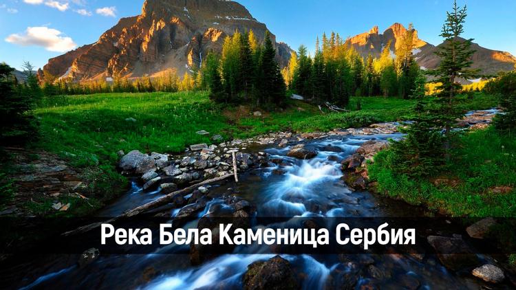 Постер Река Бела Каменица Сербия