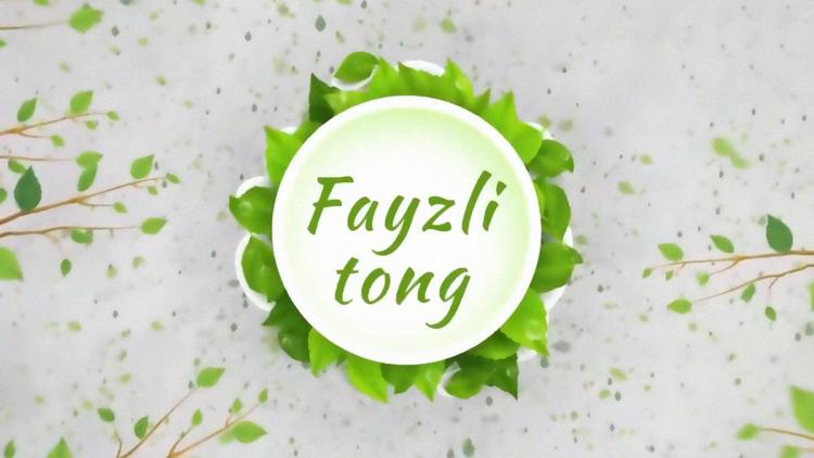 Постер Fayzli Tong