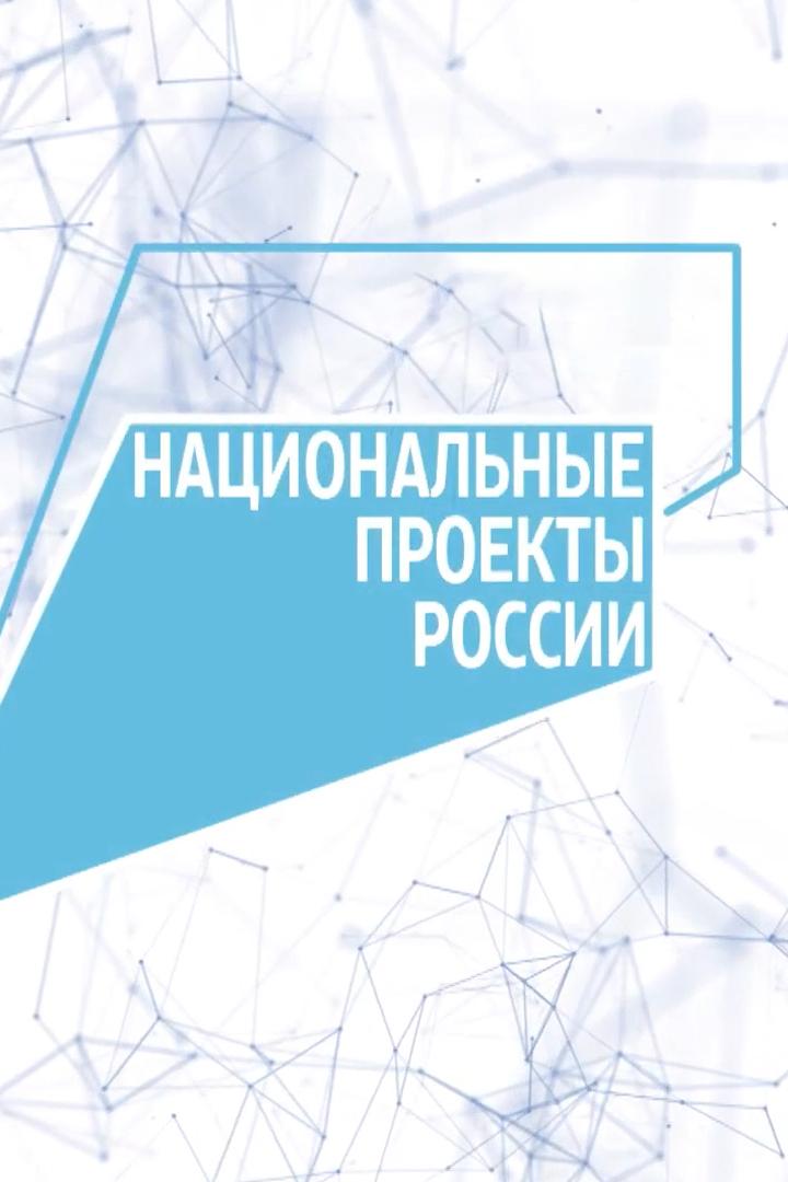 Национальные проекты (natsionalnye-proekty) Познавательное