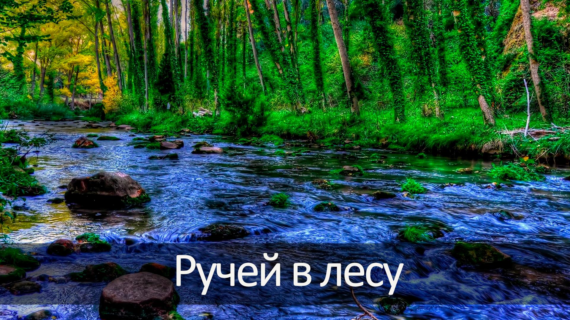 Ручей в лесу (ruchej-v-lesu) Досуг, хобби