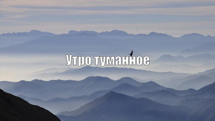 Постер Утро туманное