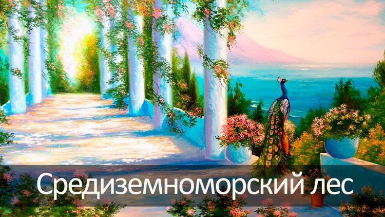 Постер Средиземноморский лес