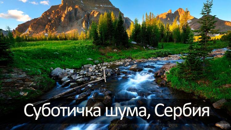 Постер Суботичка шума, Сербия