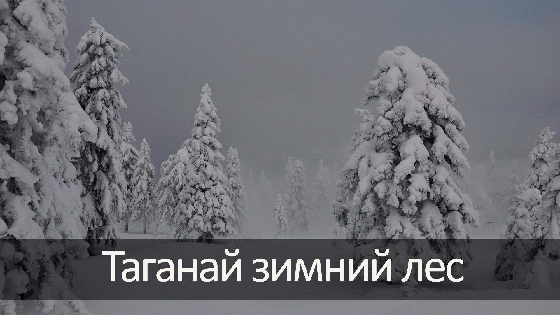 Таганай зимний лес (taganaj-zimnij-les) Досуг, хобби