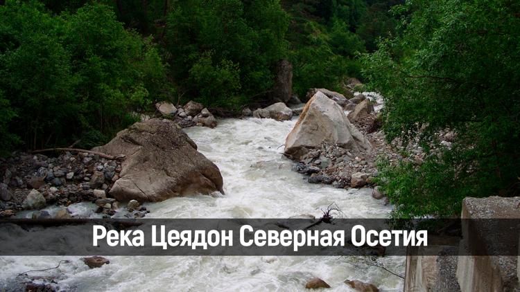 Постер Река Цеядон Северная Осетия