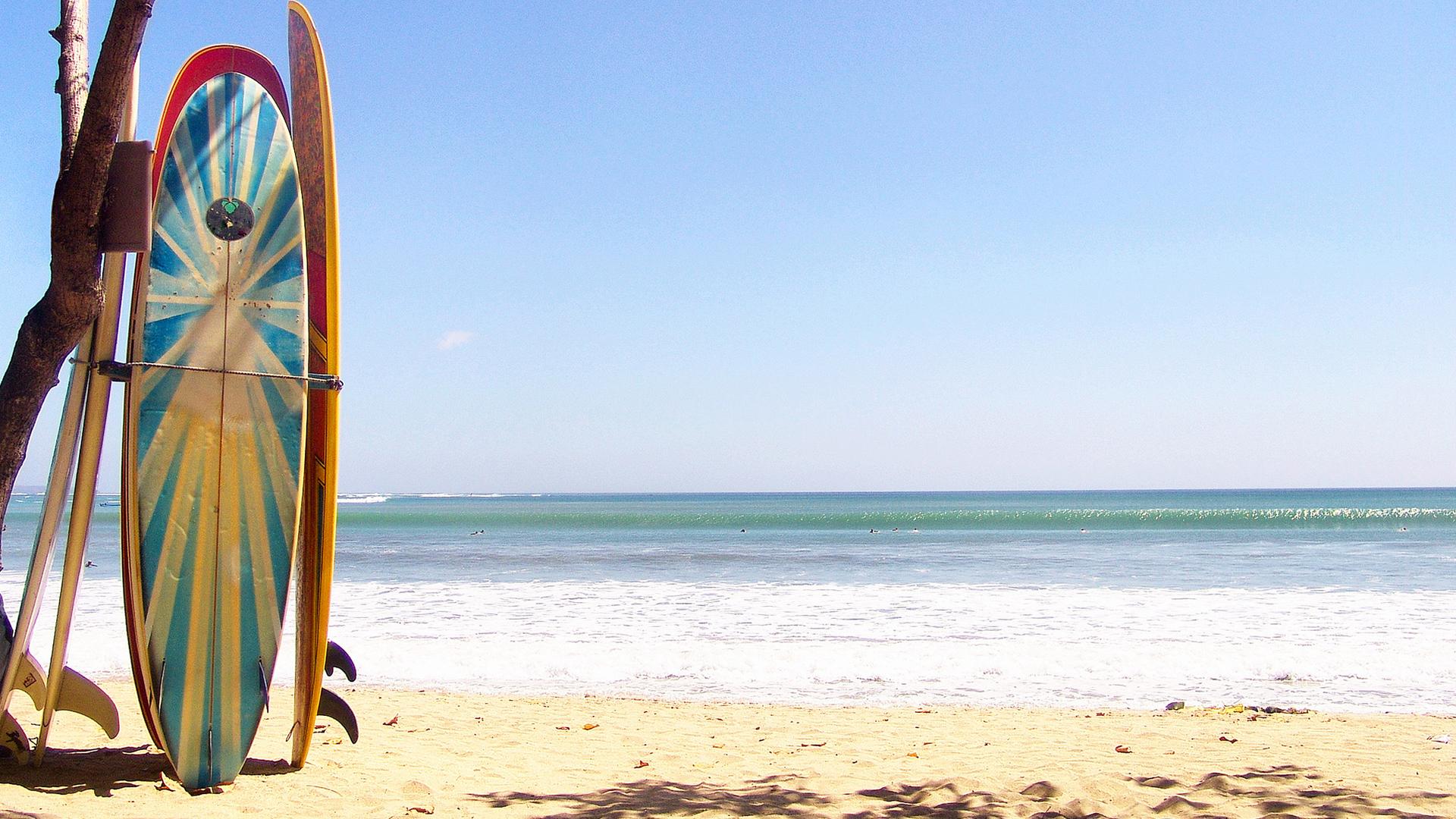 World Surf League (world-surf-league) Спорт