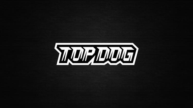 Постер Кулачные бои. Top Dog FC 10. Конференция