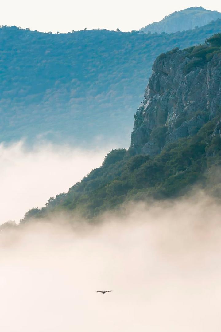 Parque Nacional de Monfragüe (parque-nacional-de-monfrage) Документальный фильм