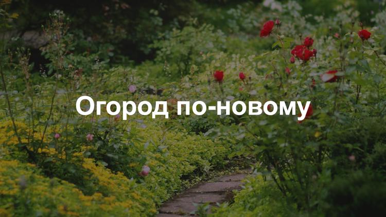 Постер Огород по-новому