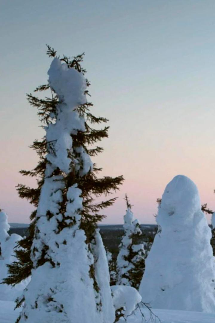 La Scandinavie arctique (la-scandinavie-arctique) Документальный сериал