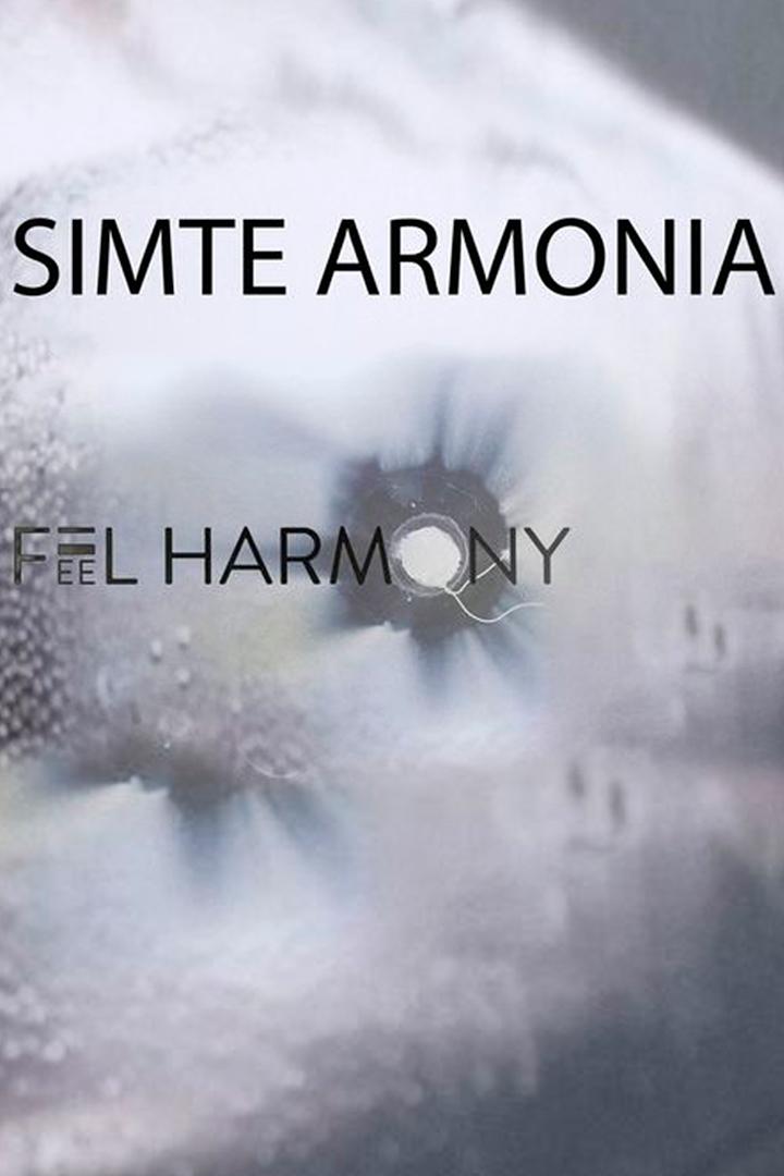 Concert Simte Armonia - «Feel Harmony» (concert-simte-armonia-feel-harmony) Музыка