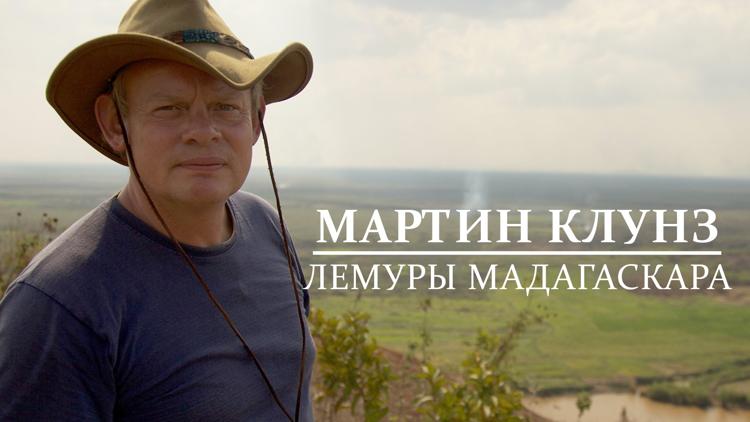 Постер Мартин Клунз: лемуры Мадагаскара