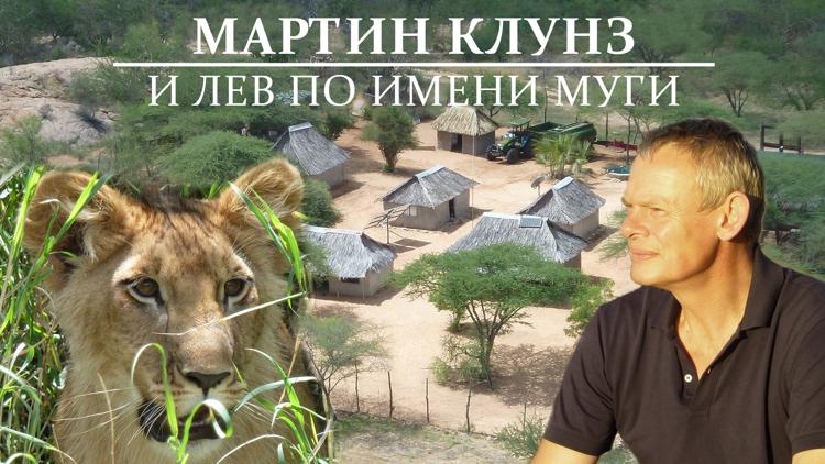 Постер Мартин Клунз и лев по имени Муги