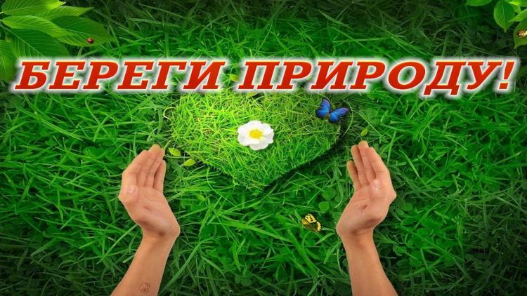 Постер Береги природу!