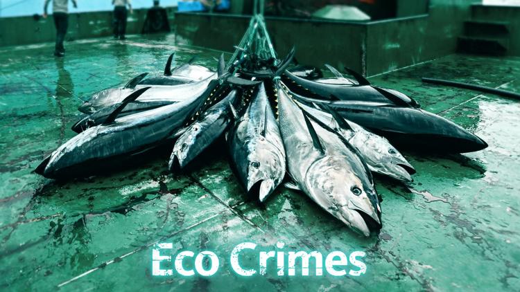 Постер Eco Crimes