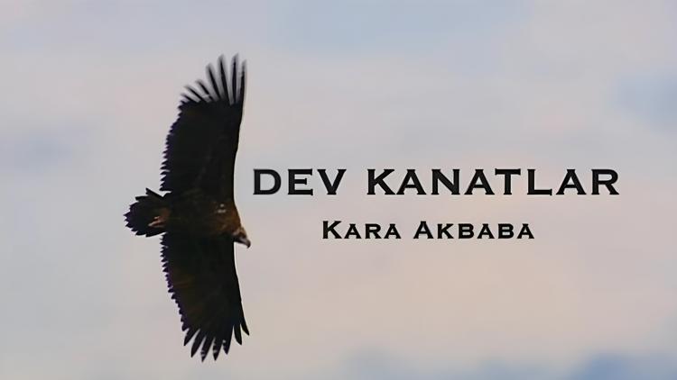 Постер Dev Kanatlar: Kara Akbaba