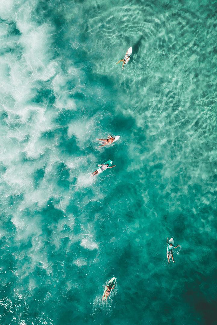 Surf's Up with Ricciardo & Fanning (surfs-up-with-ricciardo-fanning) Досуг, хобби