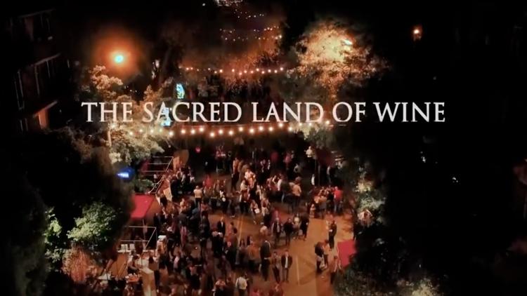 Постер The sacred land Of wine