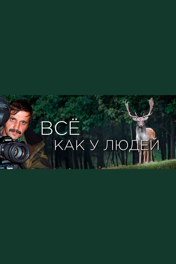 Всё как у людей (vse-kak-u-ljudej) Познавательное