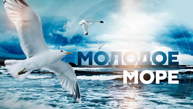 Постер Молодое море