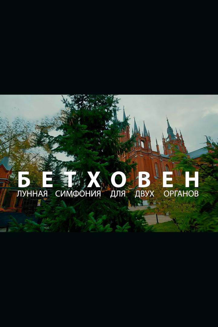 Концерт органной музыки «Бетховен. Лунная симфония для двух органов» (kontsert-organnoj-muzyki-bethoven-lunnaja-simfonija-dlja-dvuh-organov) Музыка