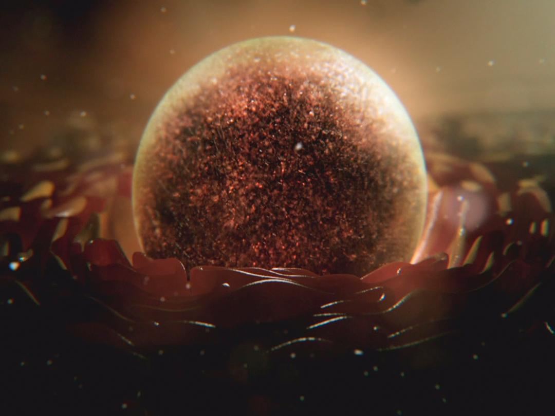 Тайная Вселенная: Путешествие внутри клетки (tajnaja-vselennaja-puteshestvie-vnutri-kletki) Документальный фильм