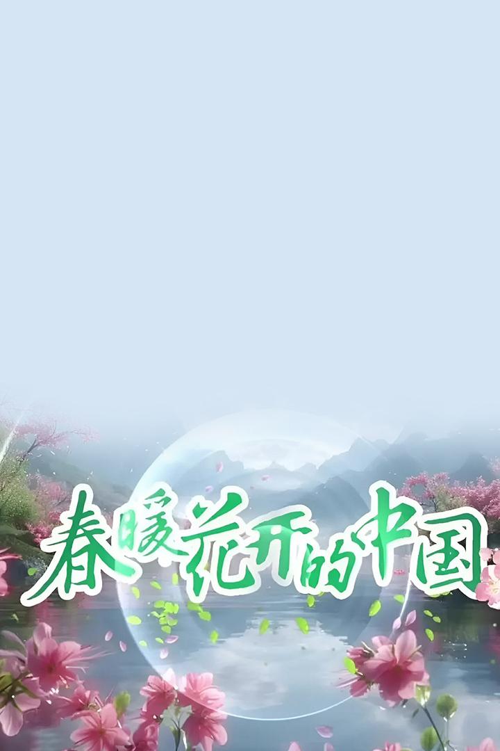 春暖花开的中国 Досуг, хобби