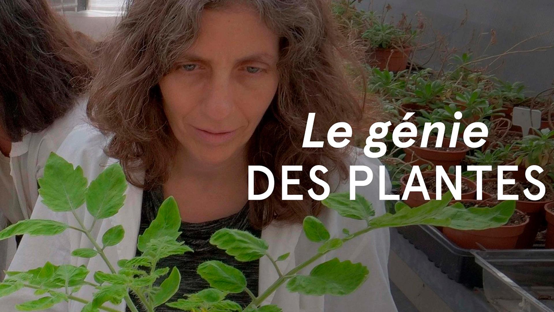 Le génie caché des plantes (le-gnie-cach-des-plantes) Документальный сериал