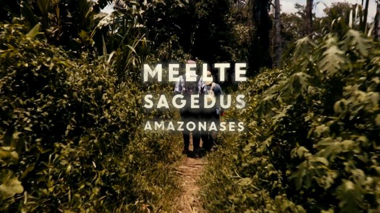 Постер Meelte sagedus Amazonases