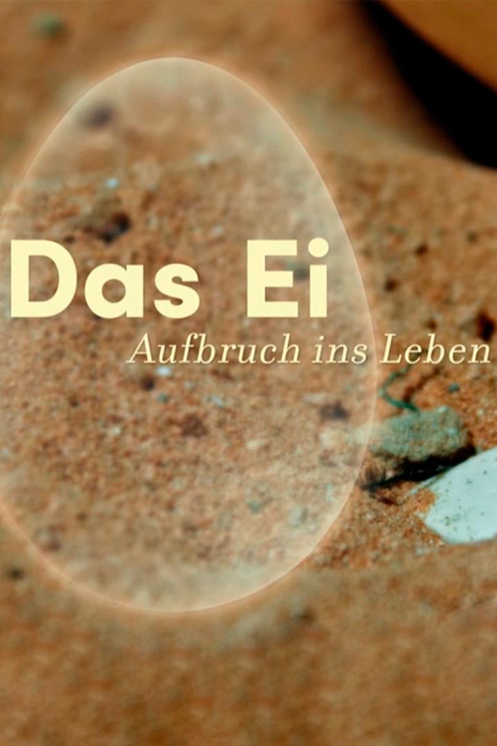 Das Ei - Aufbruch ins Leben (das-ei-aufbruch-ins-leben) Документальный фильм