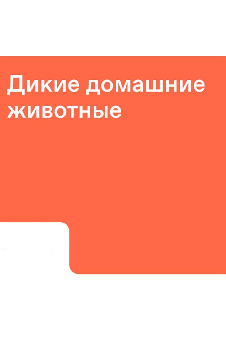 Дикие домашние животные (dikie-domashnie-zhivotnye) Документальный фильм