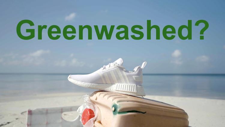 Постер Greenwashed?