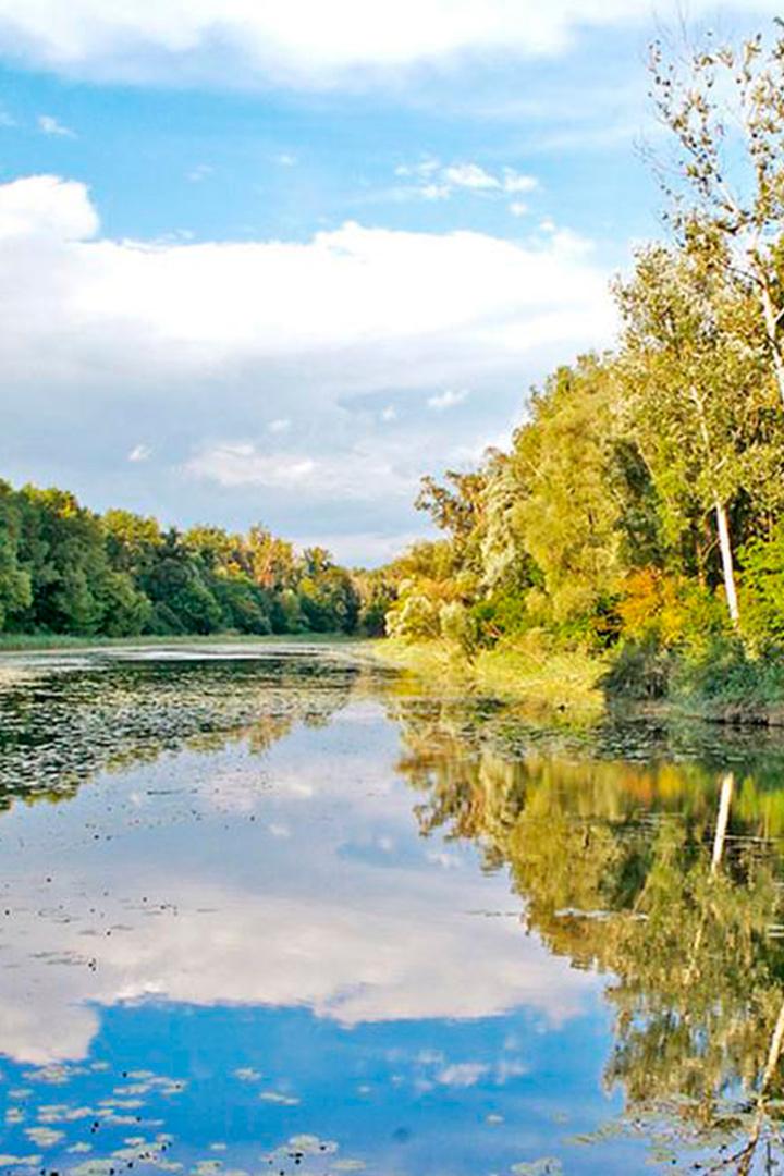 Geschützte Wildnis – Leben im Nationalpark Donau-Auen (geschtzte-wildnis-leben-im-nationalpark-donau-auen) Документальный фильм