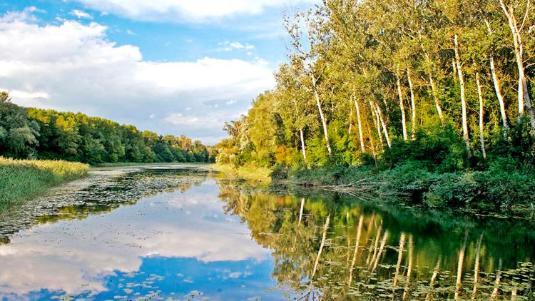 Постер Geschützte Wildnis – Leben im Nationalpark Donau-Auen