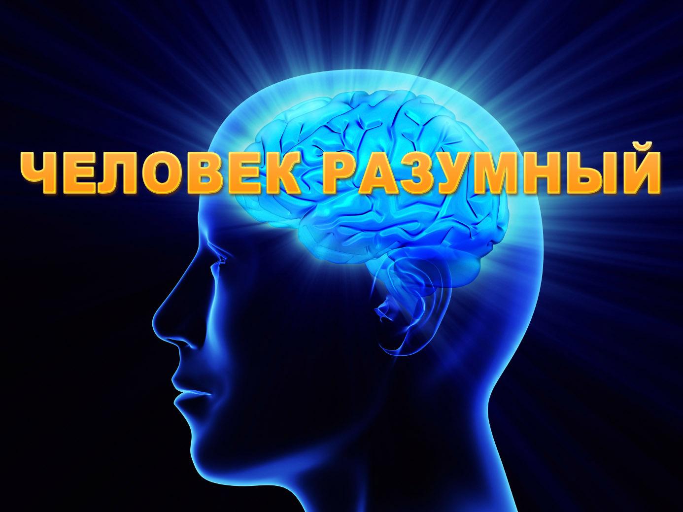 Человек разумный (chelovek-razumnyj) Познавательное