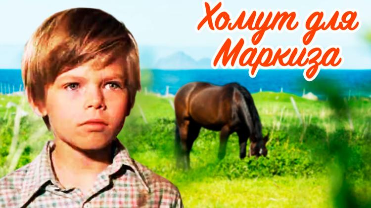 Постер Хомут для Маркиза