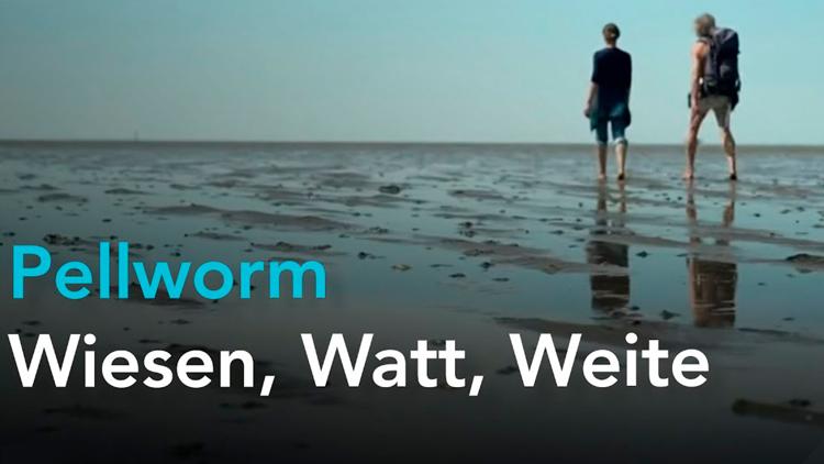 Постер Pellworm – Wiesen Watt Weite