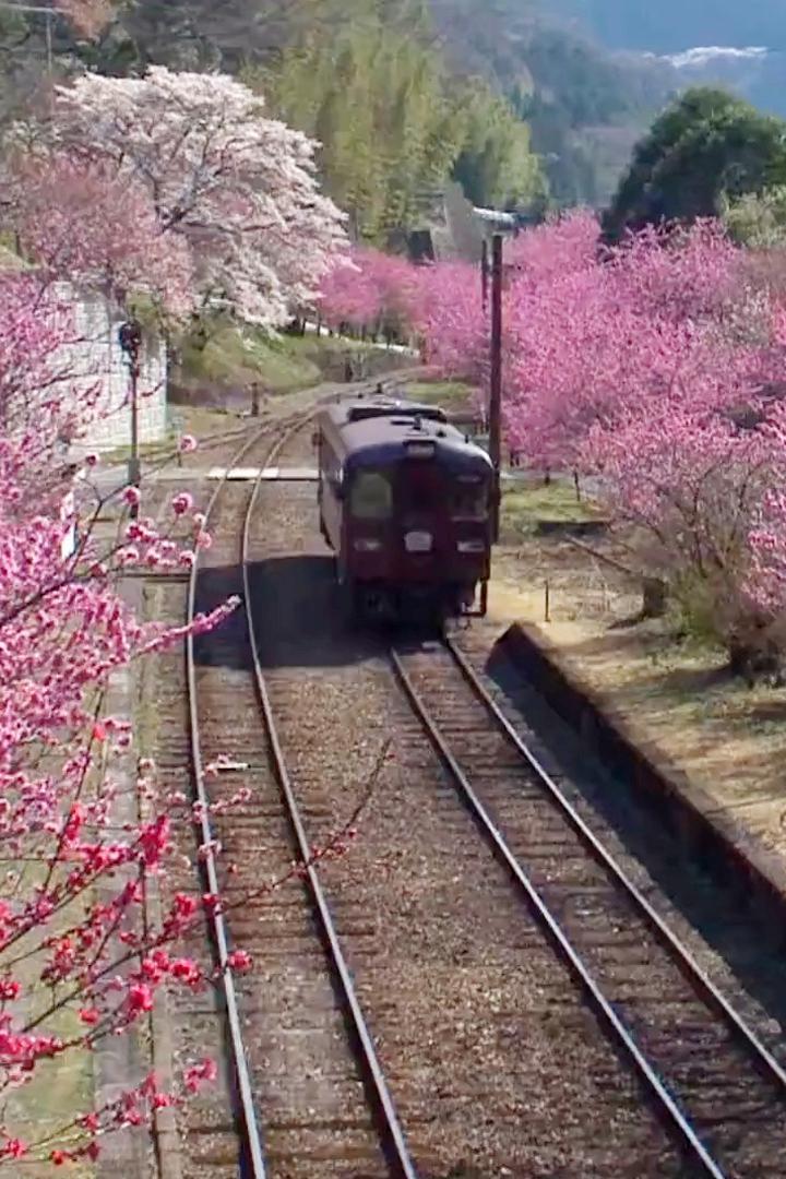 Japan Hour (japan-hour) Досуг, хобби