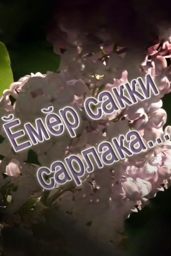 Ĕмĕр сакки сарлака (mr-sakki-sarlaka) Познавательное